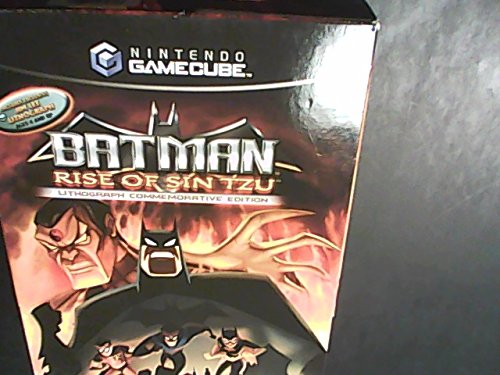 Batman: Rise of Sin Tzu - PlayStation 2