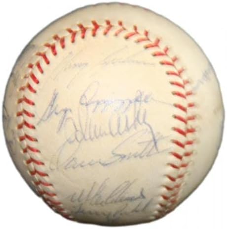1982 Бейзбол екип на Хюстън Астрос с автограф на Райън Саттона Хоу 91100b40 - Бейзболни Топки с автографи