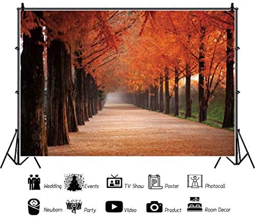 7x5ft Есенни Живописни Фонове, за Снимки Кленови Дървета Паднали Листа Паркова Пътят Фон с Природни Гледки Новородено