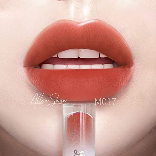 SPESTYLE Mist Surface Lip Glaze Цвят за устни - Устойчиви червило (M017)