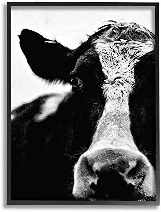 Колекция аксесоари за дома Stupell Крава на Черно-Бялата Близък план, Опъната Платно, Стенно Изкуство, Многоцветен